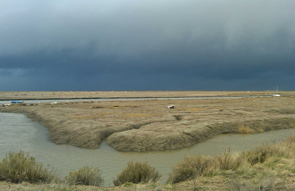 Interest north norfolk marsh