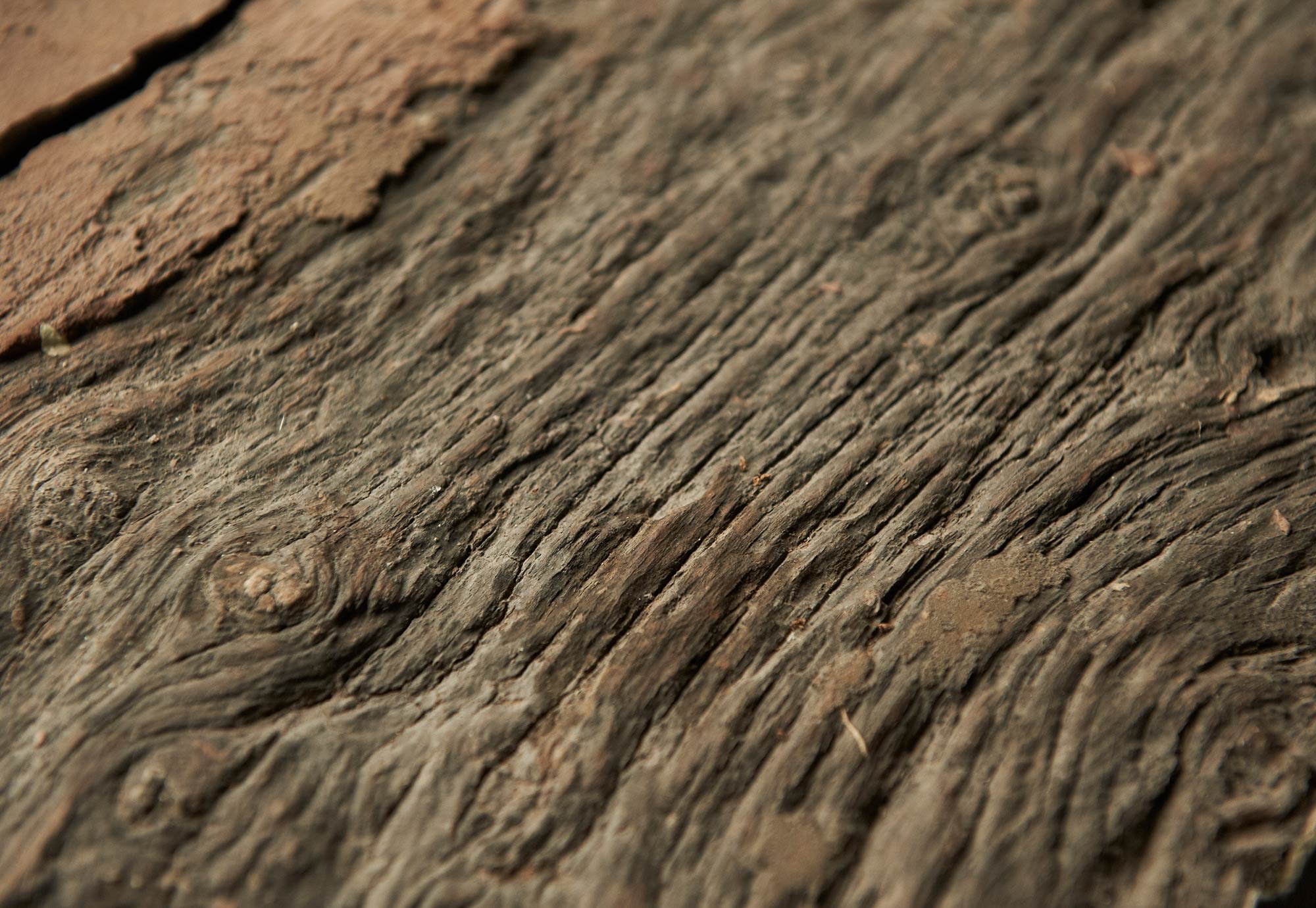 Samphire banner 03